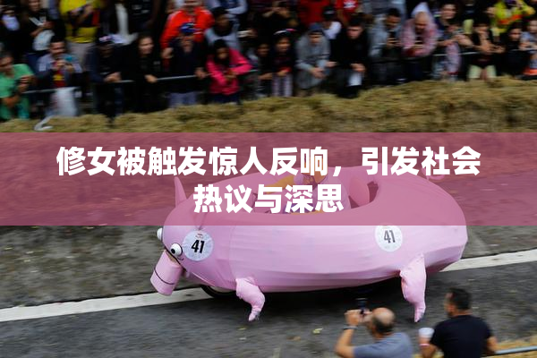 修女被触发惊人反响，引发社会热议与深思