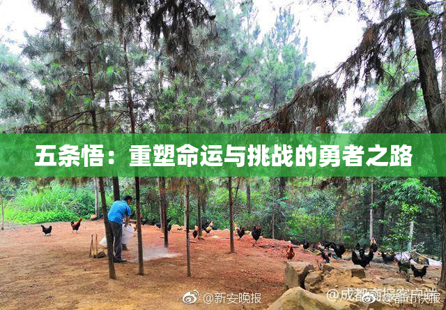 五条悟：重塑命运与挑战的勇者之路