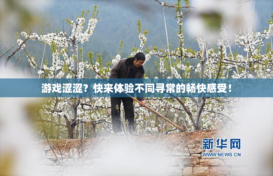 游戏涩涩？快来体验不同寻常的畅快感受！