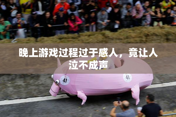 晚上游戏过程过于感人，竟让人泣不成声