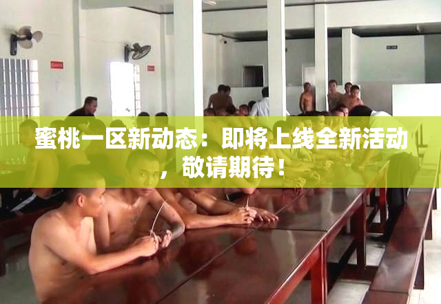 蜜桃一区新动态：即将上线全新活动，敬请期待！