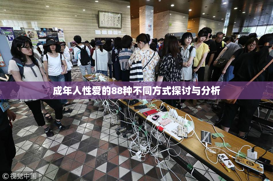 成年人性爱的88种不同方式探讨与分析