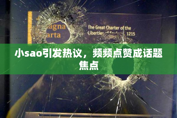 小sao引发热议，频频点赞成话题焦点