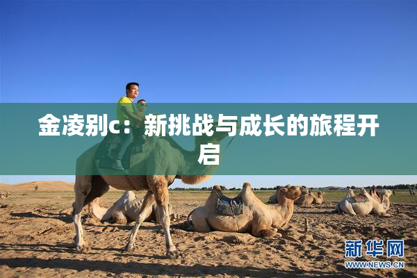 金凌别c：新挑战与成长的旅程开启