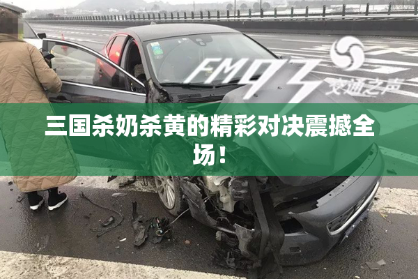 三国杀奶杀黄的精彩对决震撼全场！