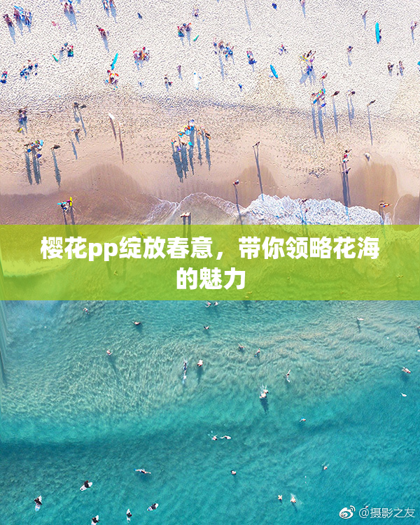 樱花pp绽放春意，带你领略花海的魅力