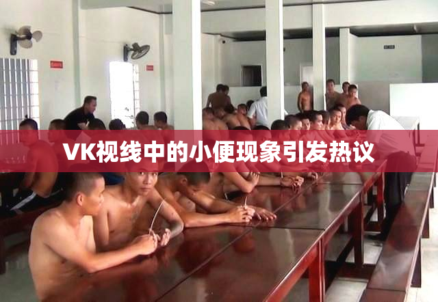 VK视线中的小便现象引发热议