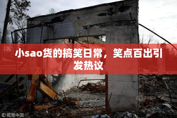 小sao货的搞笑日常，笑点百出引发热议