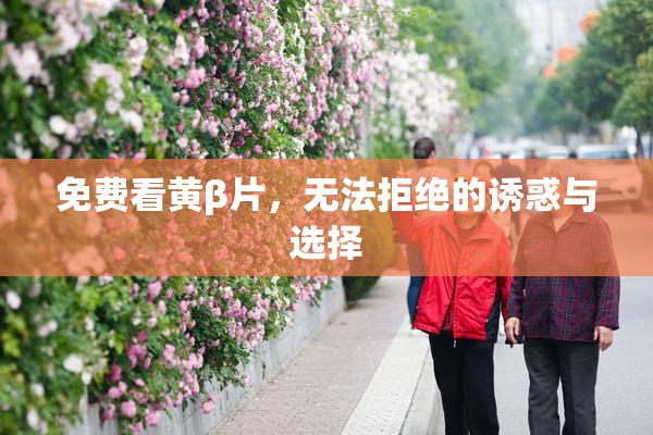 免费看黄β片，无法拒绝的诱惑与选择
