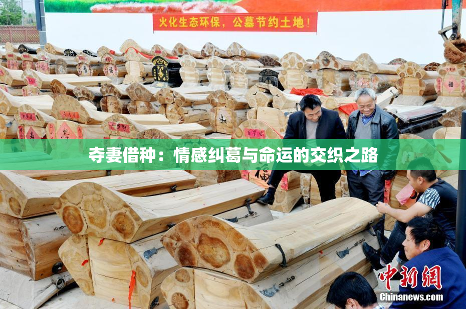 夺妻借种：情感纠葛与命运的交织之路