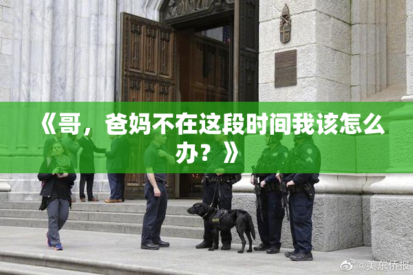 《哥，爸妈不在这段时间我该怎么办？》
