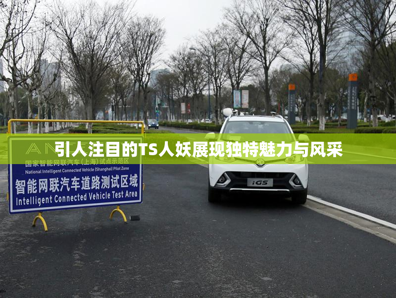 引人注目的TS人妖展现独特魅力与风采