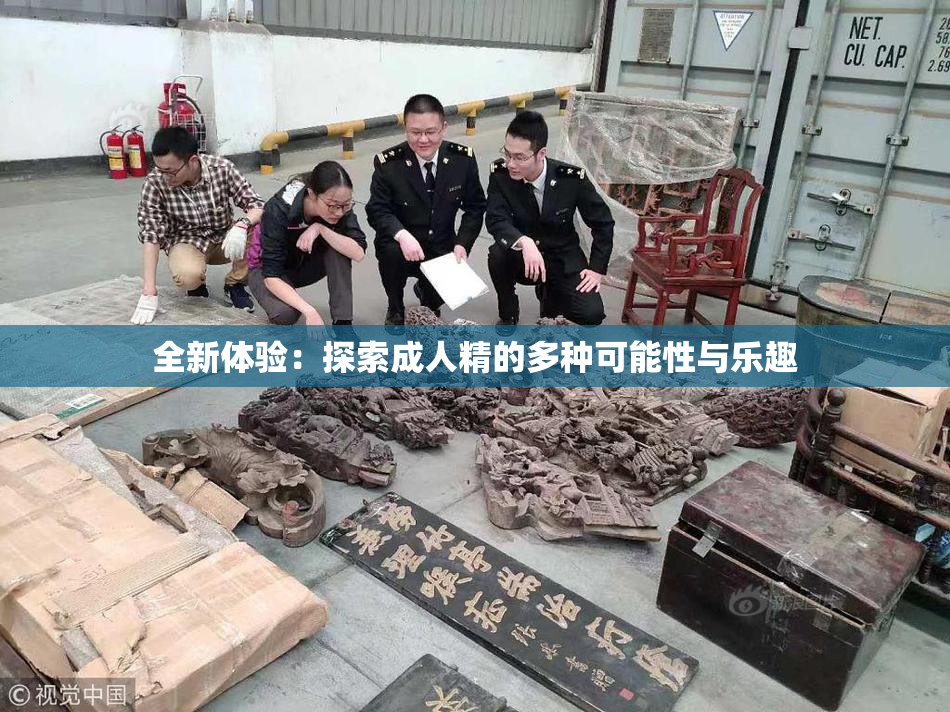 全新体验：探索成人精的多种可能性与乐趣