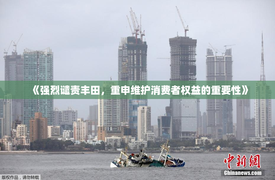《强烈谴责丰田，重申维护消费者权益的重要性》