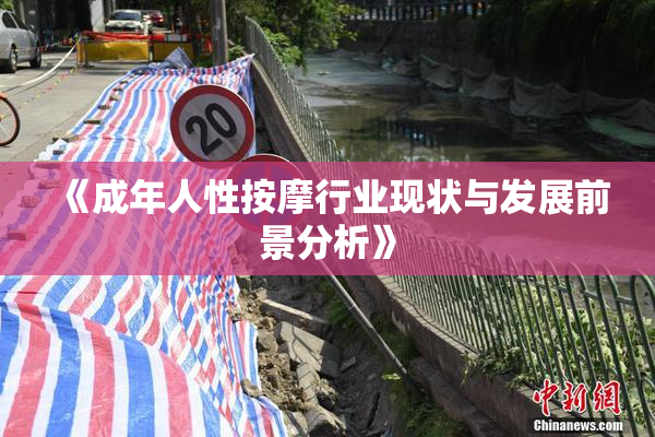 《成年人性按摩行业现状与发展前景分析》