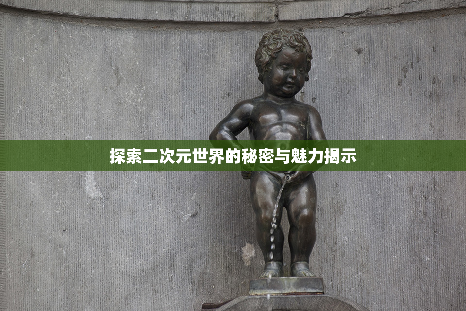 探索二次元世界的秘密与魅力揭示