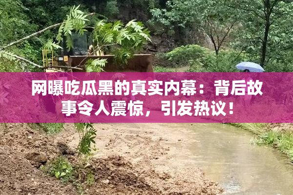 网曝吃瓜黑的真实内幕：背后故事令人震惊，引发热议！