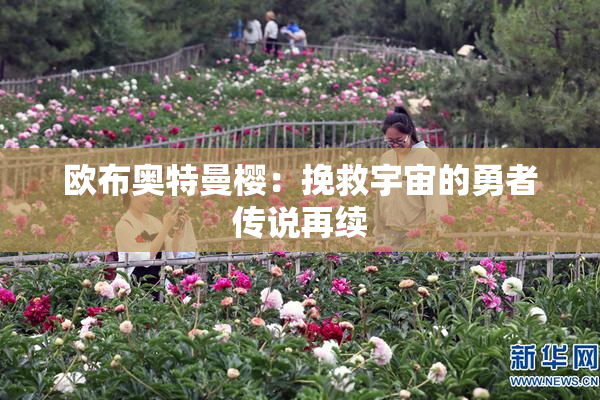 欧布奥特曼樱：挽救宇宙的勇者传说再续