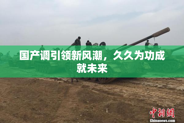 国产调引领新风潮，久久为功成就未来