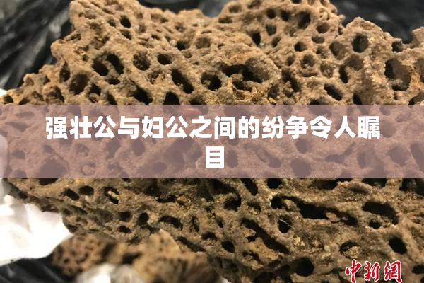 强壮公与妇公之间的纷争令人瞩目