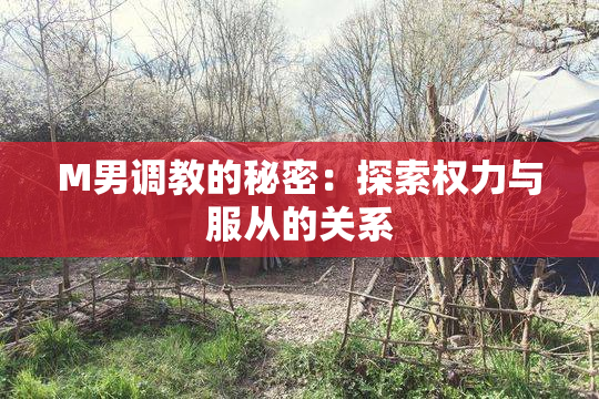M男调教的秘密：探索权力与服从的关系