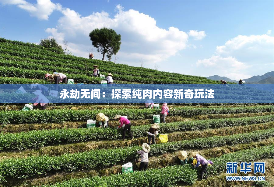 永劫无间：探索纯肉内容新奇玩法