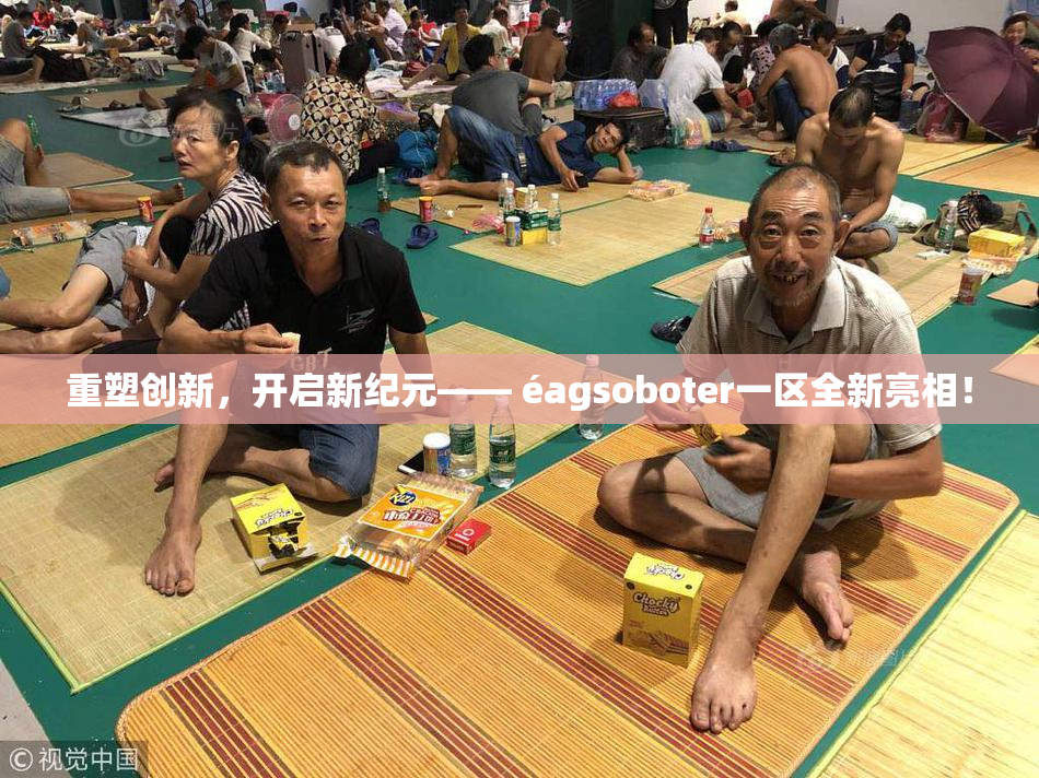 重塑创新，开启新纪元—— éagsoboter一区全新亮相！