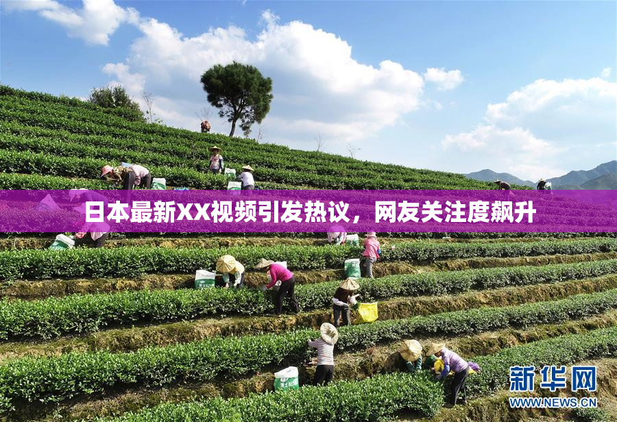 日本最新XX视频引发热议，网友关注度飙升