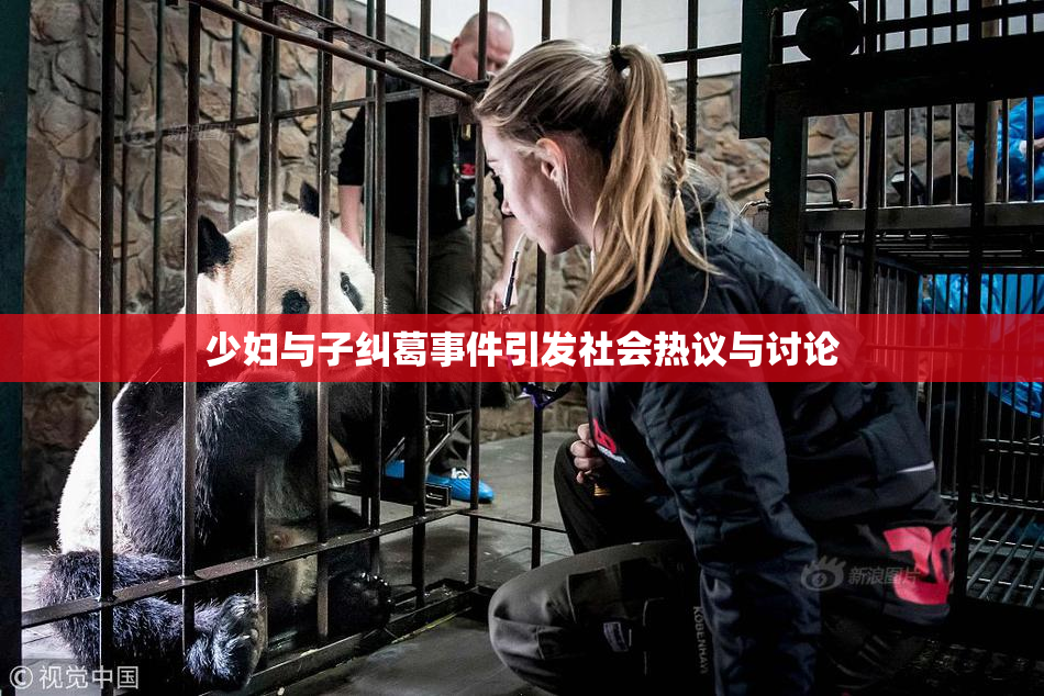 少妇与子纠葛事件引发社会热议与讨论