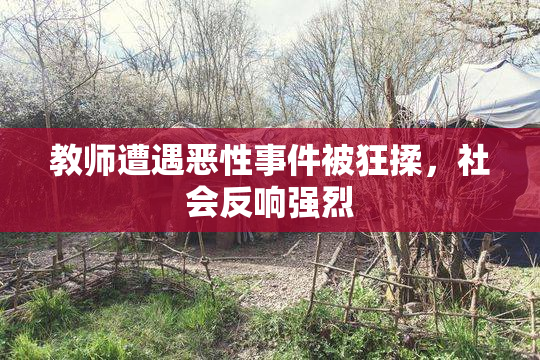 教师遭遇恶性事件被狂揉，社会反响强烈