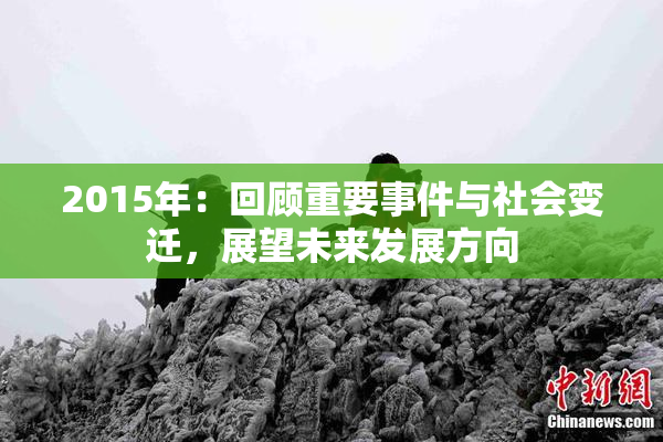 2015年：回顾重要事件与社会变迁，展望未来发展方向