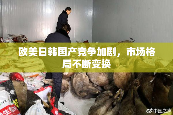 欧美日韩国产竞争加剧，市场格局不断变换