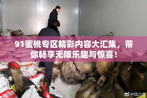 91蜜桃专区精彩内容大汇集，带你畅享无限乐趣与惊喜！