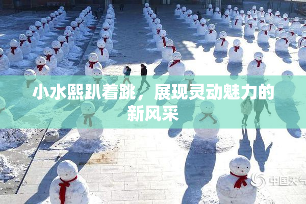 小水熙趴着跳，展现灵动魅力的新风采