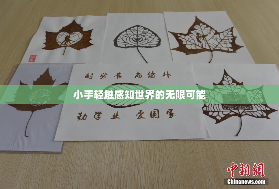 小手轻触感知世界的无限可能