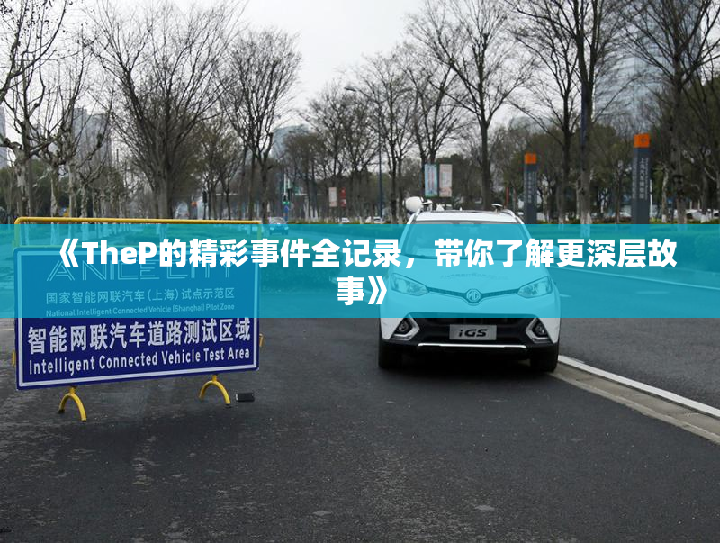 《TheP的精彩事件全记录，带你了解更深层故事》
