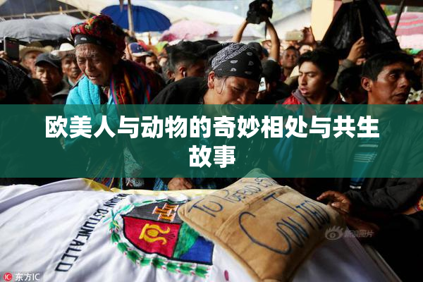 欧美人与动物的奇妙相处与共生故事