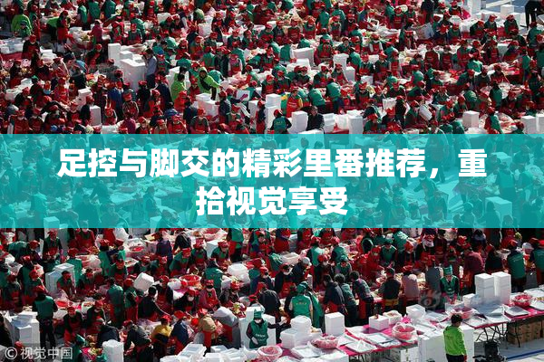 足控与脚交的精彩里番推荐，重拾视觉享受