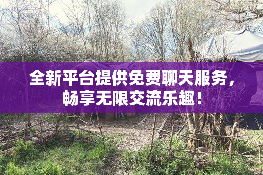 全新平台提供免费聊天服务，畅享无限交流乐趣！