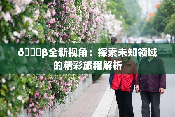👙β全新视角：探索未知领域的精彩旅程解析