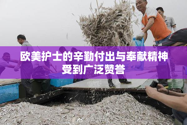 欧美护士的辛勤付出与奉献精神受到广泛赞誉