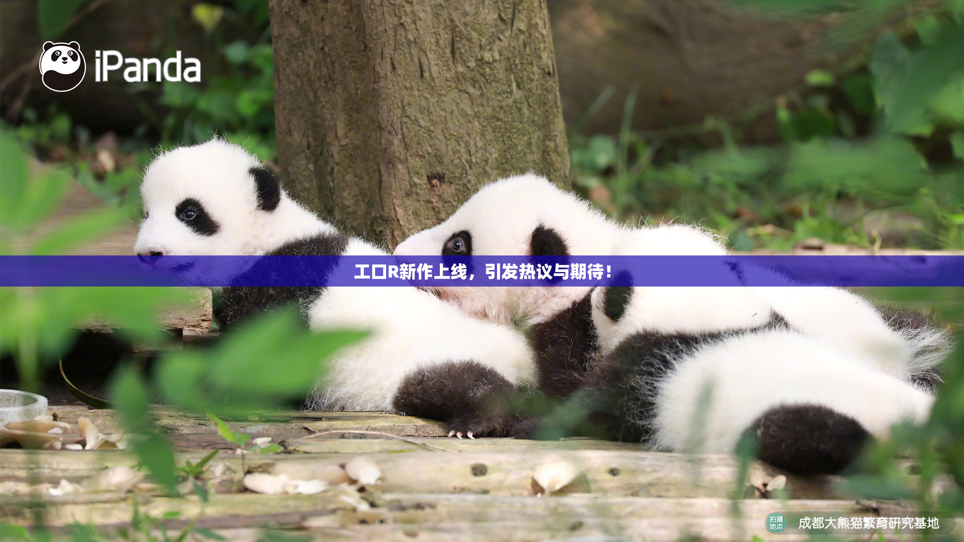 工口R新作上线，引发热议与期待！