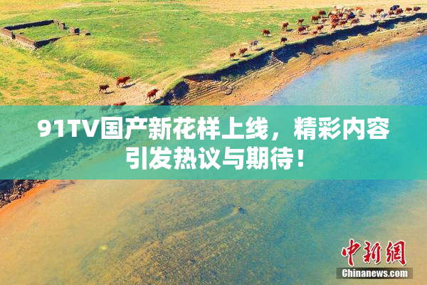 91TV国产新花样上线，精彩内容引发热议与期待！