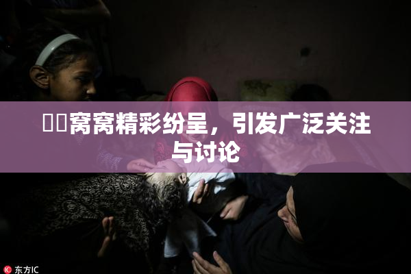 妺妺窝窝精彩纷呈，引发广泛关注与讨论