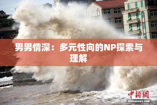 男男情深：多元性向的NP探索与理解