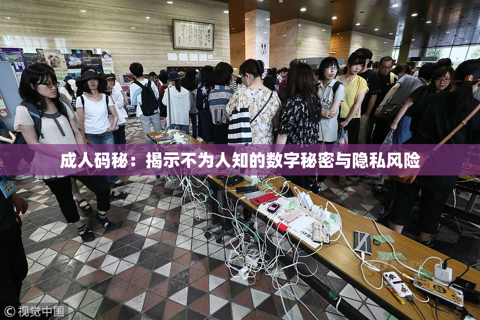 成人码秘：揭示不为人知的数字秘密与隐私风险