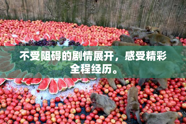 不受阻碍的剧情展开，感受精彩全程经历。