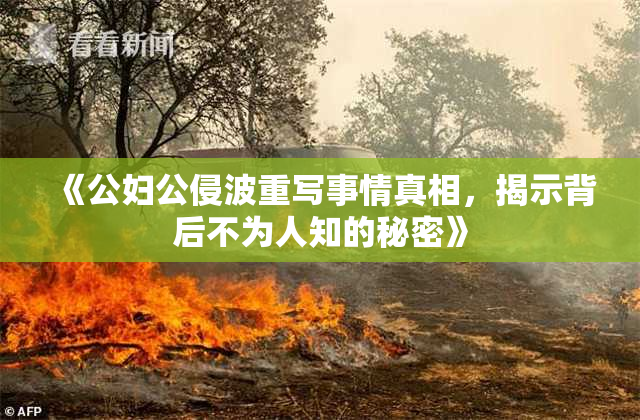 《公妇公侵波重写事情真相，揭示背后不为人知的秘密》