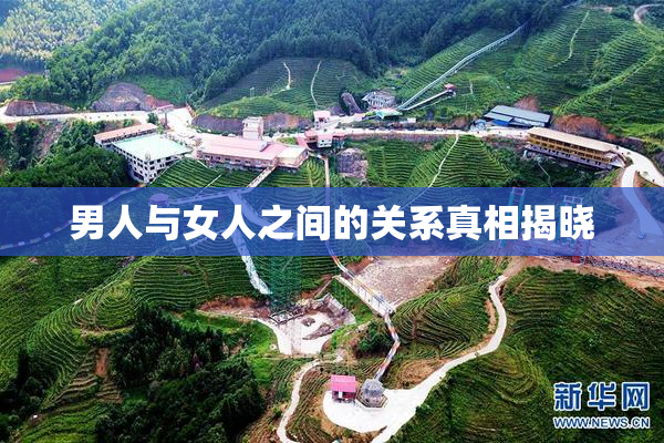 男人与女人之间的关系真相揭晓