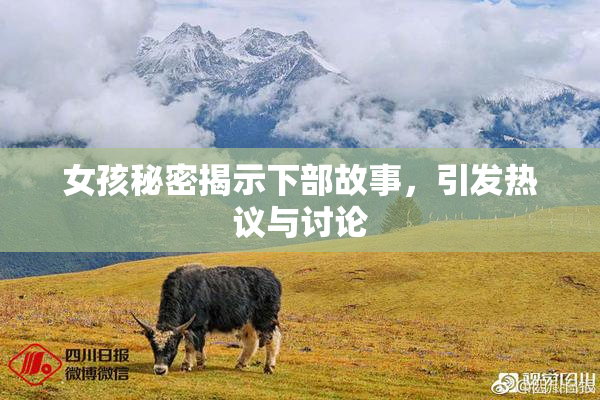 女孩秘密揭示下部故事，引发热议与讨论